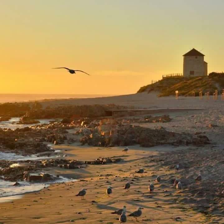 Casa De Praia - Studio Esposende Zewnętrze zdjęcie